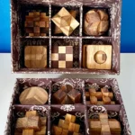 Set of 12 Wooden Puzzles Brain Teaser