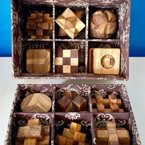 Set of 12 Wooden Puzzles Brain Teaser