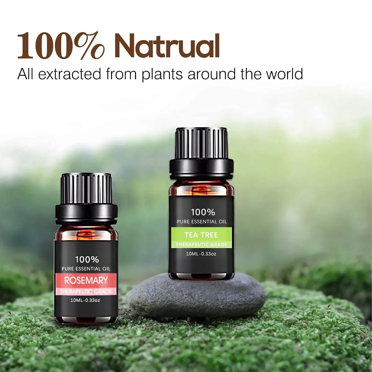Essential Oil Set 6 Bottles Plant Aromatherapy Oils Natural Scent for Diffuser - Image 2