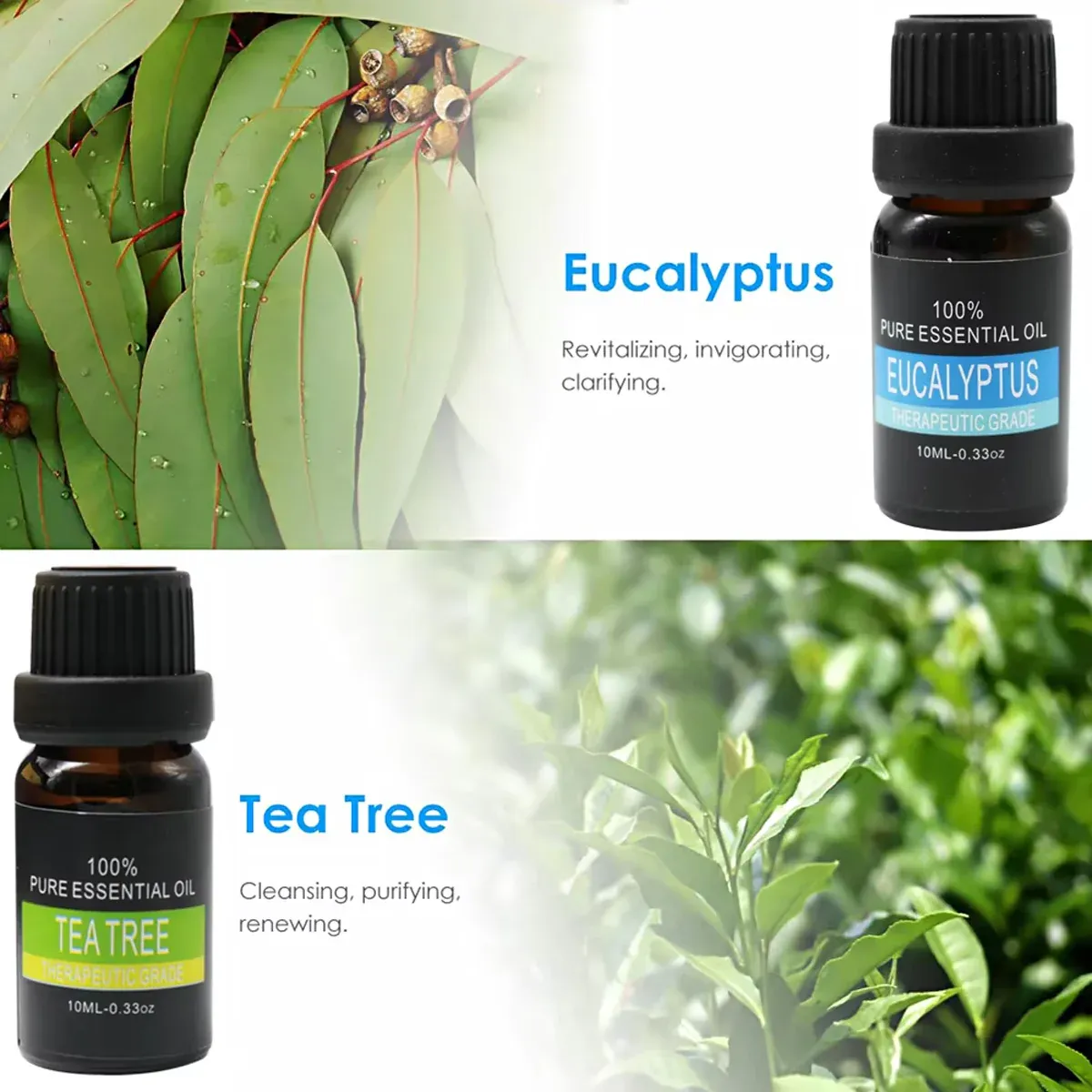 Essential Oil Set 6 Bottles Plant Aromatherapy Oils Natural Scent for Diffuser - Image 5